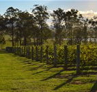 Hidden Treasure - New South Wales Tourism 