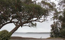 Karins Cottage - New South Wales Tourism  4