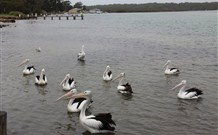 Karins Cottage - New South Wales Tourism  6