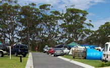 Lake Glenbawn Holiday Cottages - New South Wales Tourism  2