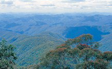 Lyrebird Studio - New South Wales Tourism  2