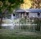Mt Clunie Cabins