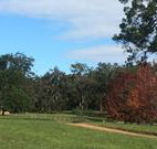 Mulberry Cottage - New South Wales Tourism 