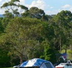 Morning Glory River Resort - New South Wales Tourism 