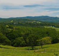 Nightcap Cottage - New South Wales Tourism 