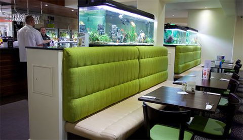 Carriers Arms Hotel Motel - New South Wales Tourism  5