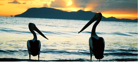 Villa Marine Holiday Apartments - New South Wales Tourism  29