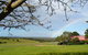 Pebble Bay Cottage - thumb 0