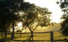 Pebble Bay Cottage - New South Wales Tourism  4