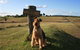 Pebble Bay Cottage - thumb 7