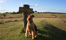 Pebble Bay Cottage - New South Wales Tourism  7