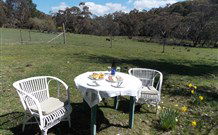 Pinegrove Cottage - New South Wales Tourism  5