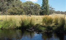 Pinegrove Cottage - New South Wales Tourism  3