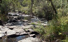 Pinegrove Cottage - New South Wales Tourism  4