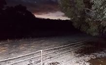 Pinegrove Cottage - New South Wales Tourism  7