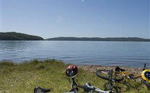 Rathkells Farm - New South Wales Tourism  1