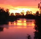 Roches Family Hotel - New South Wales Tourism 