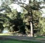 Rustic Caravan Park - New South Wales Tourism 