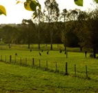 Stone Cottage Mittagong - New South Wales Tourism 