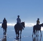 The Hayloft - New South Wales Tourism 