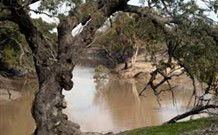 Valley View Cottage Hunter Valley - New South Wales Tourism  0
