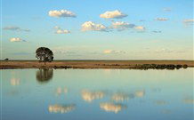 Valley View Cottage Hunter Valley - New South Wales Tourism  4