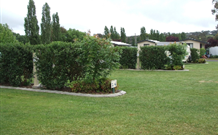 Wheatfield Cottage - New South Wales Tourism 