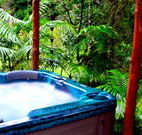 Wonga - New South Wales Tourism 