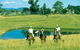 Wooli River Lodges - thumb 3