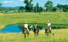 Wooli River Lodges - New South Wales Tourism  3