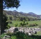 Woolshed Hill Estate - New South Wales Tourism 
