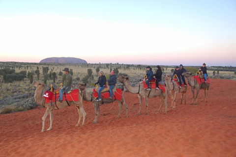 Ayers Rock - Outback Pioneer Lodge - New South Wales Tourism  1