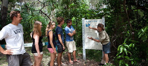Magnetic Island YHA - New South Wales Tourism  8
