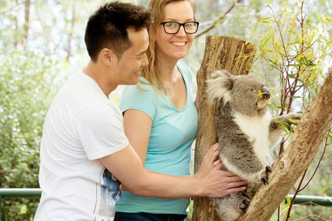 Mt Lofty YHA - New South Wales Tourism  6