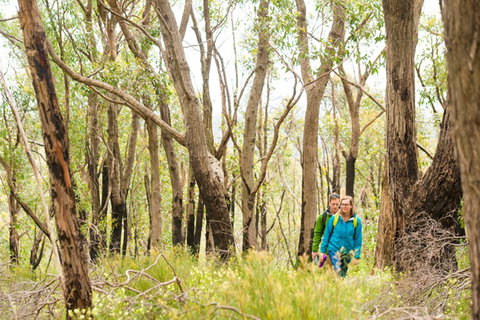 Mt Lofty YHA - New South Wales Tourism  8