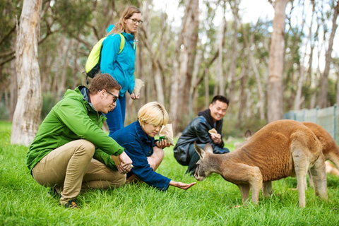 Mt Lofty YHA - New South Wales Tourism  7