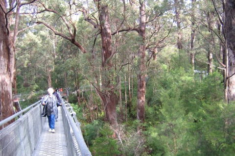 Walpole YHA - New South Wales Tourism  0