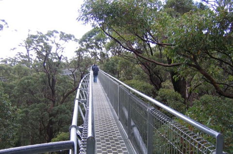 Walpole YHA - New South Wales Tourism  1