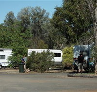 Evening Star Tourist Park - New South Wales Tourism 