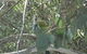 Evening Star Tourist Park - thumb 1