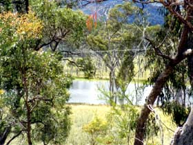 Accommodation Creek Cottages - New South Wales Tourism  1