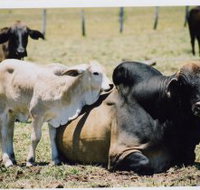 Henderson Park Farm Retreat - New South Wales Tourism 