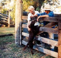 Minmore Farmstay Bed and Breakfast - New South Wales Tourism 