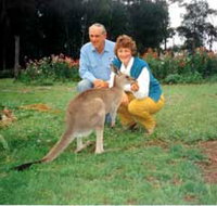 Bimbimbi and Little Hollow Farm Stay - New South Wales Tourism 