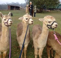 Bunyip Springs Farmstay - New South Wales Tourism 