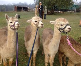 Bunyip Springs Farmstay - New South Wales Tourism  0