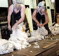 The Woolshed at Jondaryan Caravan and Camping - New South Wales Tourism 