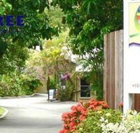 At The Mango Tree - New South Wales Tourism 