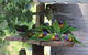 ISLAND VIEW CARAVAN PARK - thumb 2