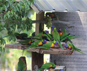 ISLAND VIEW CARAVAN PARK - New South Wales Tourism  2